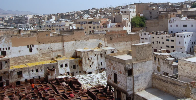 Vue sur la médina de Fès
