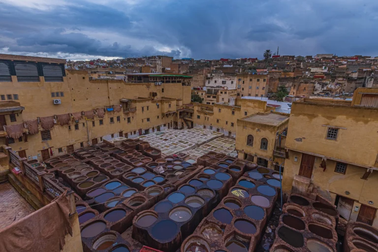 Tanneries Chouara à Fès