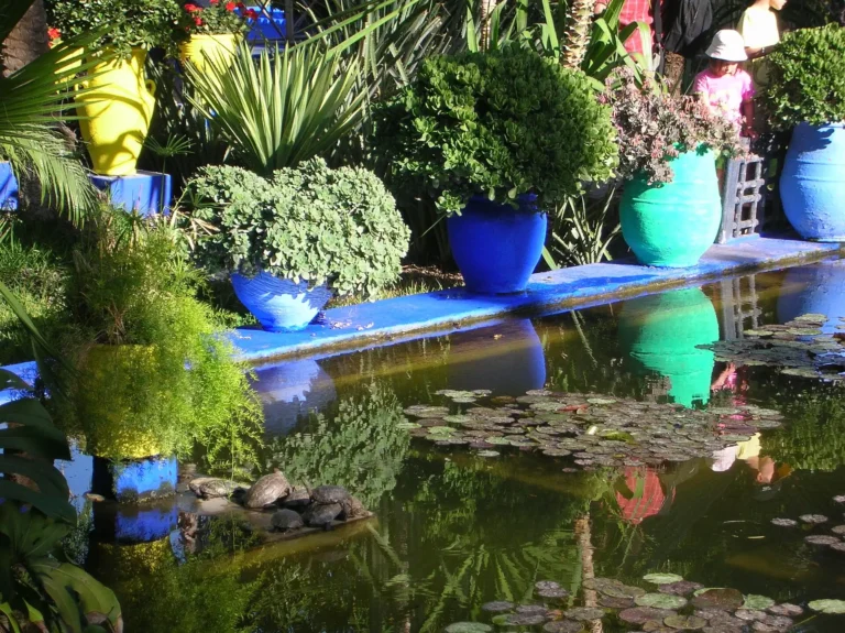 Pond and blue pots in the Majorelle Garden, Marrakech