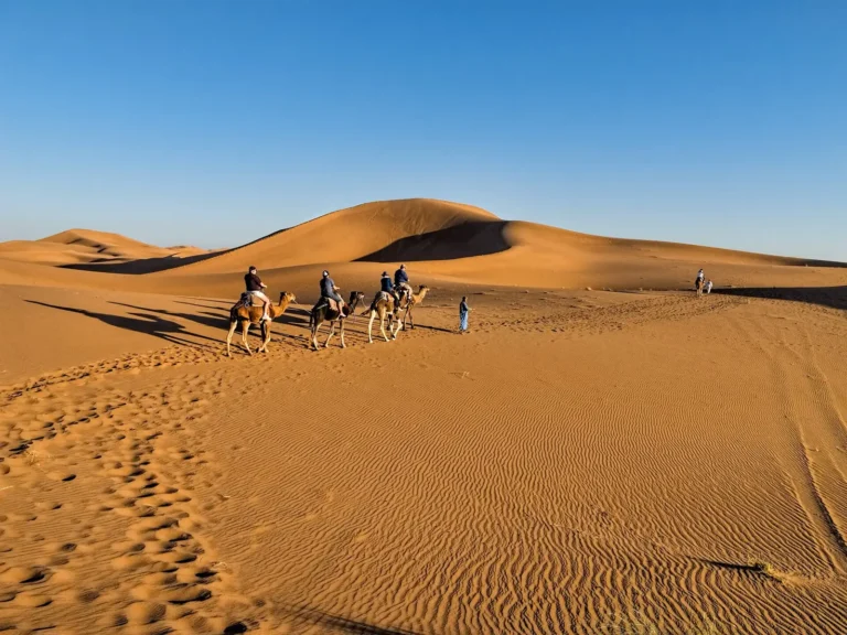 Camel caravan in the Erg Chigaga dunes