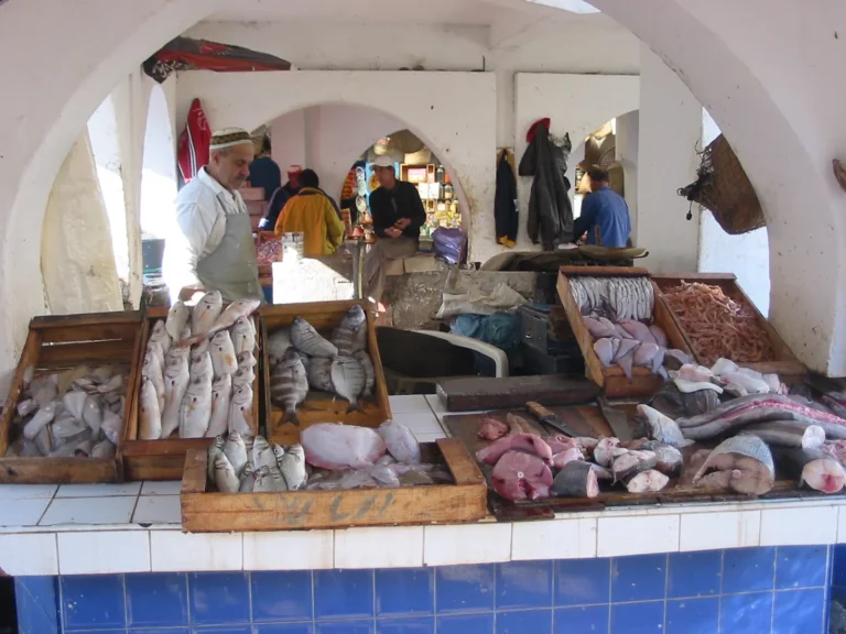 Étals de poissons frais au port d’Essaouira