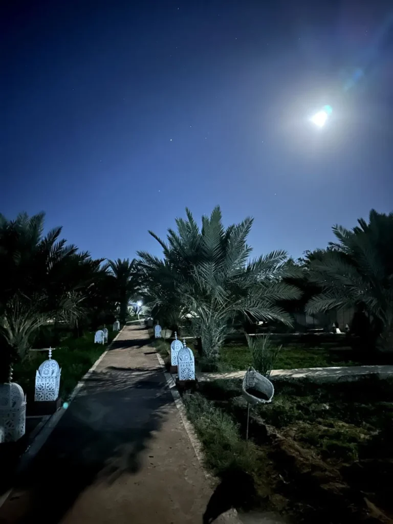 Photos Allée du camp et palmiers au clair de lune