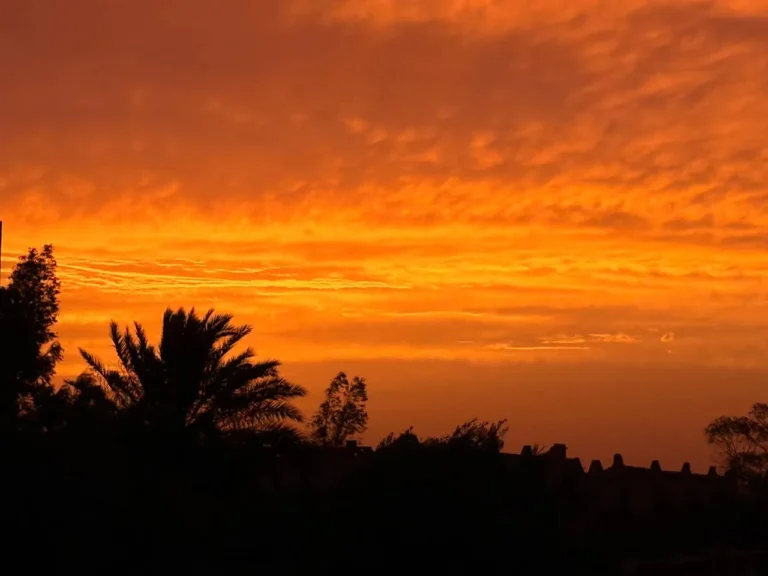 Photos Coucher de soleil flamboyant sur la palmeraie de Merzouga
