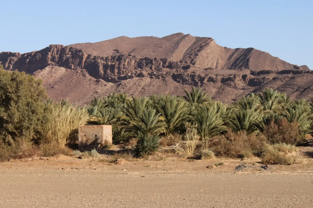 Which desert to choose in Morocco: Merzouga, Zagora or Erg Chigaga? Palm grove and mountains near Zagora, Draa valley