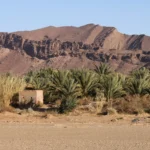 واحة نخيل وجبال قرب زاكورة، وادي درعة
