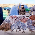 صيادون يبيعون صيدهم في ميناء الصويرة