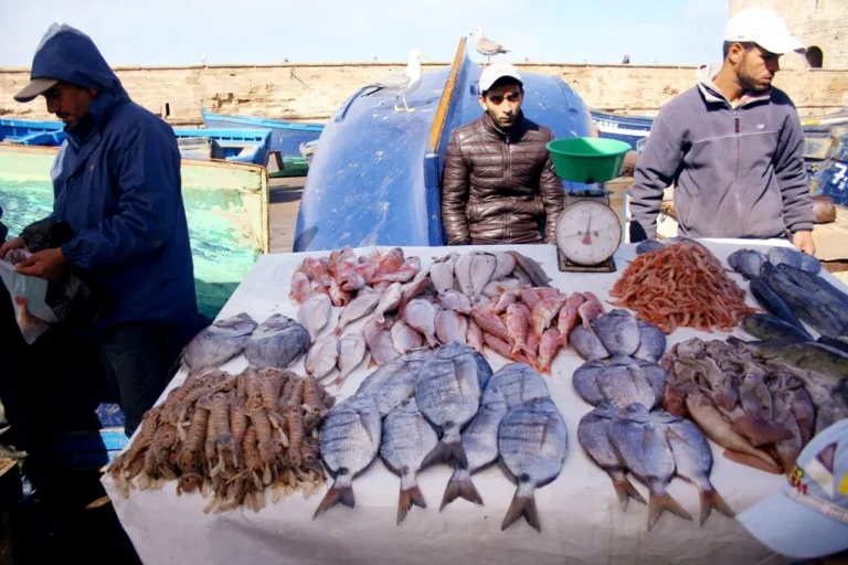 Pêcheurs vendant leur poisson sur le port d’Essaouira